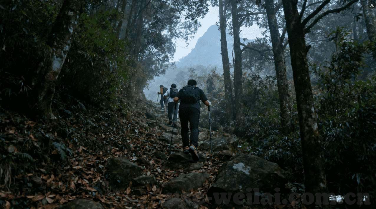俄罗斯世界杯的新星-俄罗斯世界杯的新星闪耀